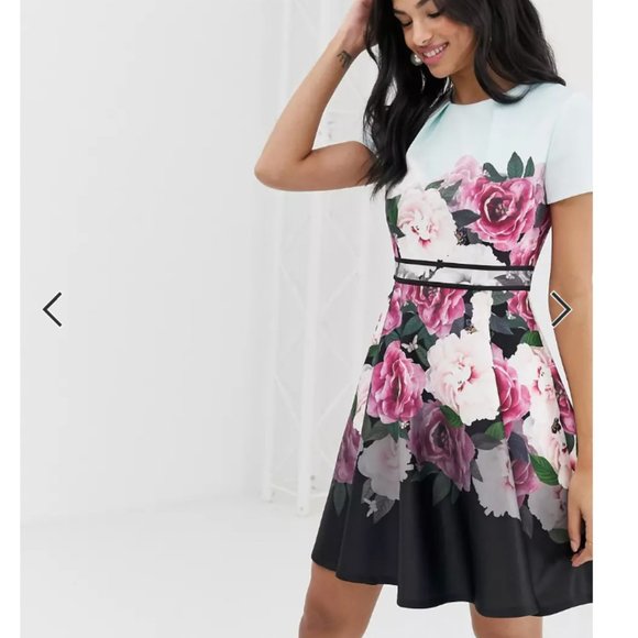 Ted Baker Wilmana magnificent floral skater dress size 2 nwot - Picture 1 of 11